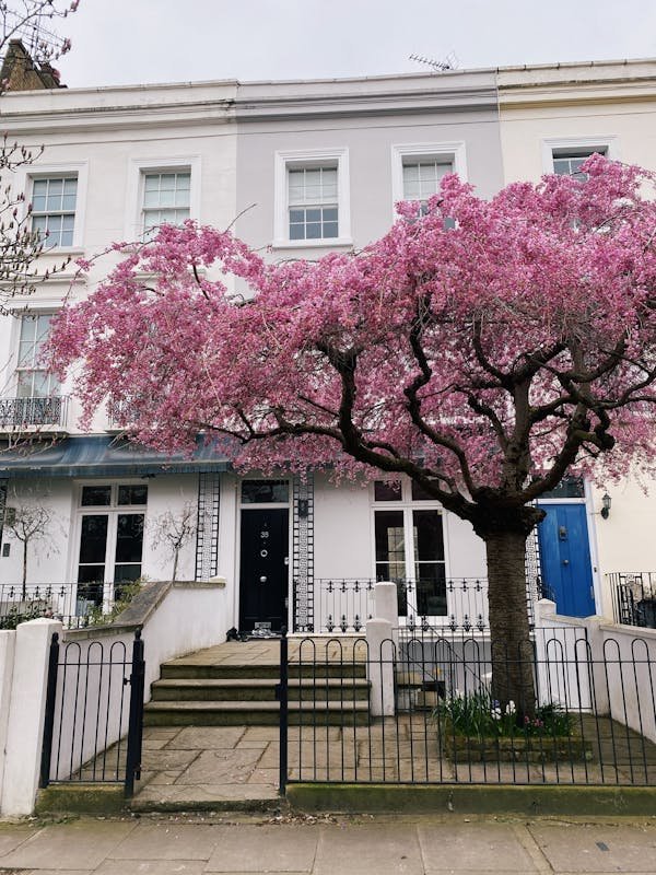 Le portail français : portails en aluminium élégants et durables